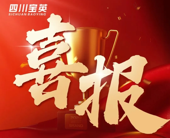 喜报！宝英胜达入库《成都市绿色低碳先进技术工艺2024年名录》 