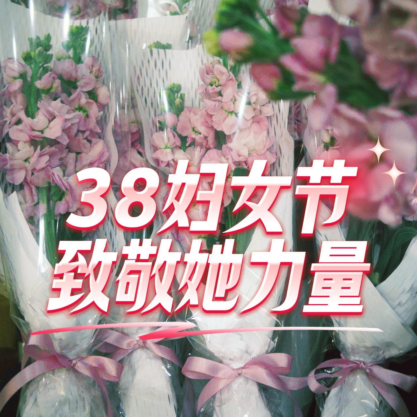 致敬&ldquo;她&rdquo;力量，情暖半边天 &mdash;&mdash;四川宝英举办2026年&ldquo;三八&rdquo;妇女节主题关怀活动